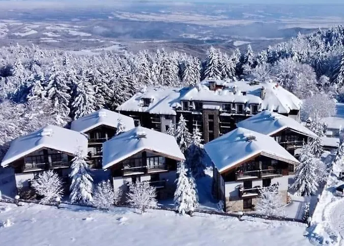 Dreaming With Tree Mountain View Apartmán