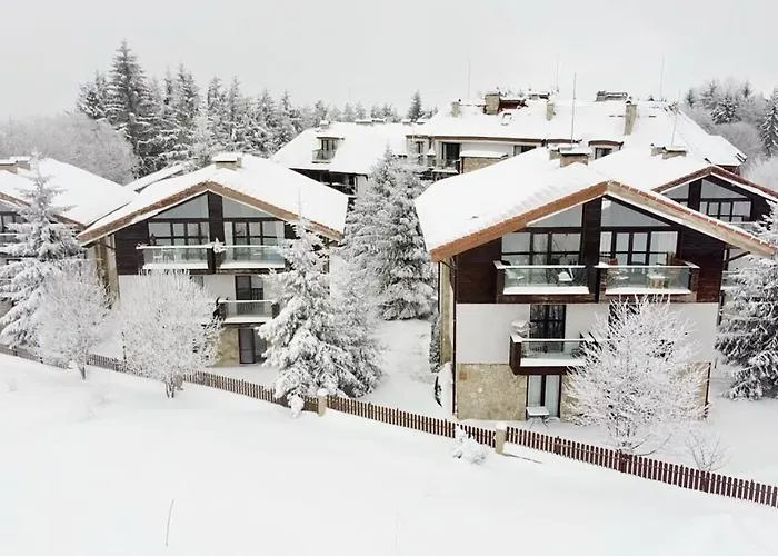 Dreaming With Tree Mountain View *