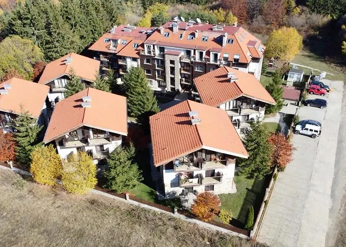 Dreaming With Tree Mountain View