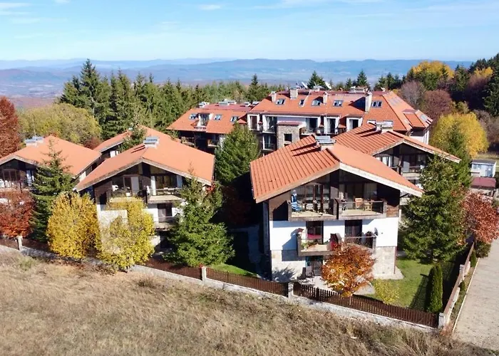 Dreaming With Tree Mountain View *