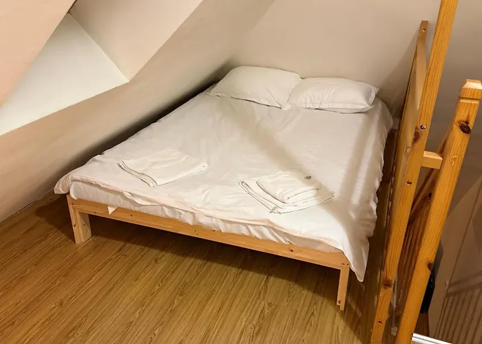 Dreaming With Tree Mountain View Borovec